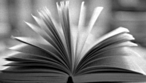 open book by shyfoxling