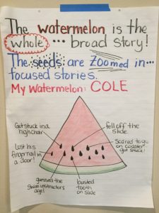 watermelon - seeds